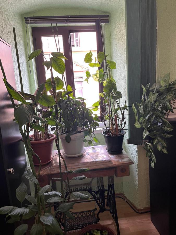 Apartman Lora Apartman Fiume Kültér fotó